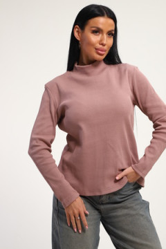 Водолазка 74721