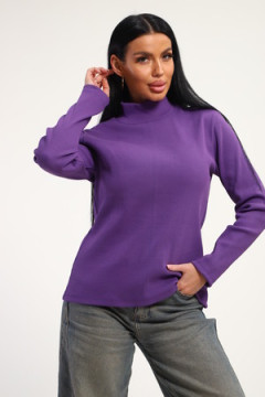 Водолазка 74721