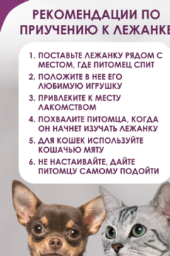 Лежанка для кошек и собак 50×40 LDZ, полиэфирное волокно, хлопок, бязь, износостойкая, Bio-Line