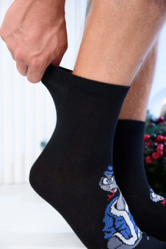 Носки стандарт Сэм комплект 1 пара