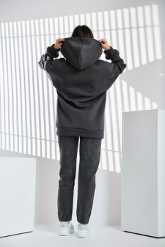 Толстовка 67090