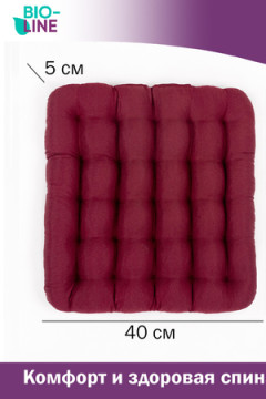 Подушка для мебели Bio-Line с гречневой лузгой PSG25