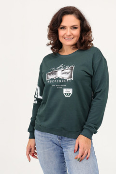 Свитшот 88515