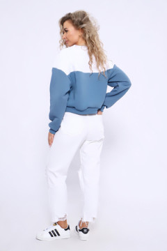 Толстовка 21011