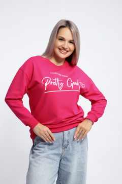 Толстовка 80048