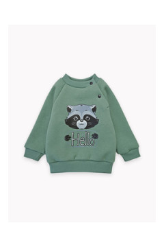 Толстовка футер начёс Енот 10903