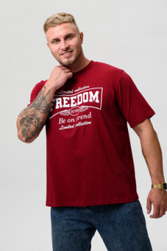 Футболка мужская 8503/1