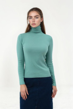 Водолазка 14439/1