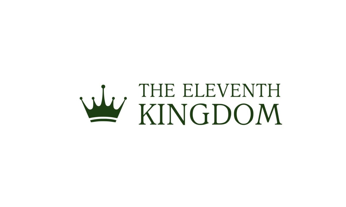 THE ELEVENTH KINGDOM