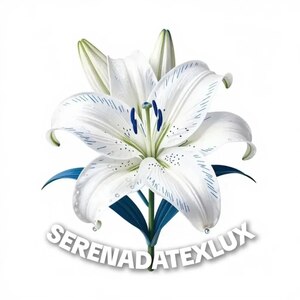 SERENADATEXLUX